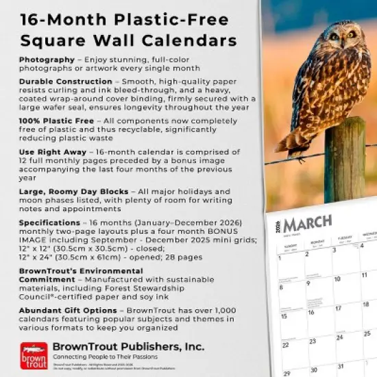 BrownTrout 2026 Owls 12"x24" Hanging Square Wall Calendar Plastic-Free image {5}