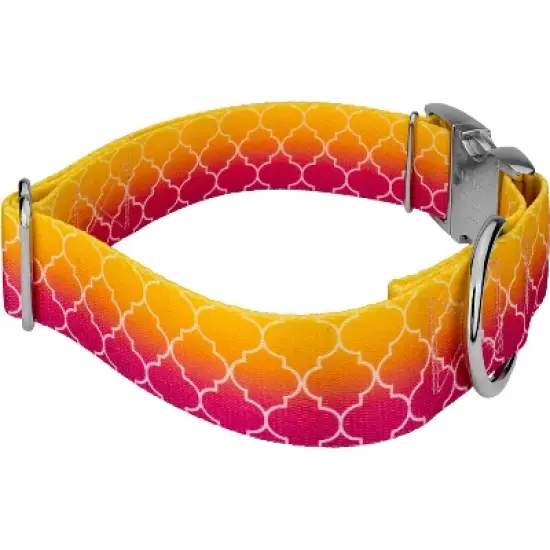 Country Brook Petz HossFit Jr Wide Premium Dog Collar - Abstract Collection image {2}