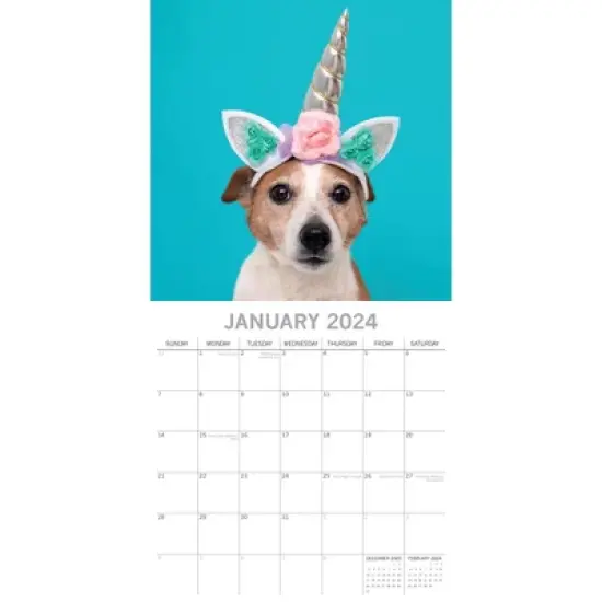 The Gifted Stationery 2024 Square Wall Calendar, Dogs as Animals, 16-Month Humor Theme with 180 Reminder Stickers (12 x 12 In) image {1}