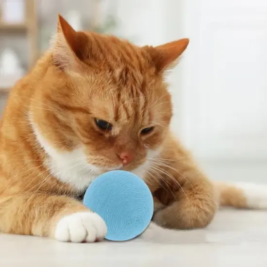 Unique Bargains Cat Playing Ball with Bell 1 Pc image {4}