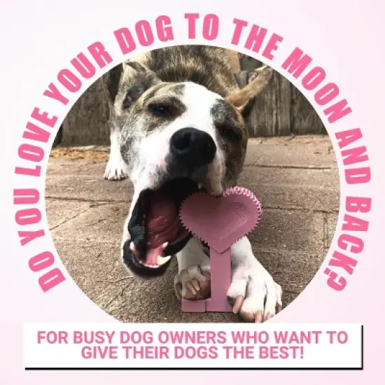 Bullibone Heartbone Chew Toy for Large Dogs image {6}