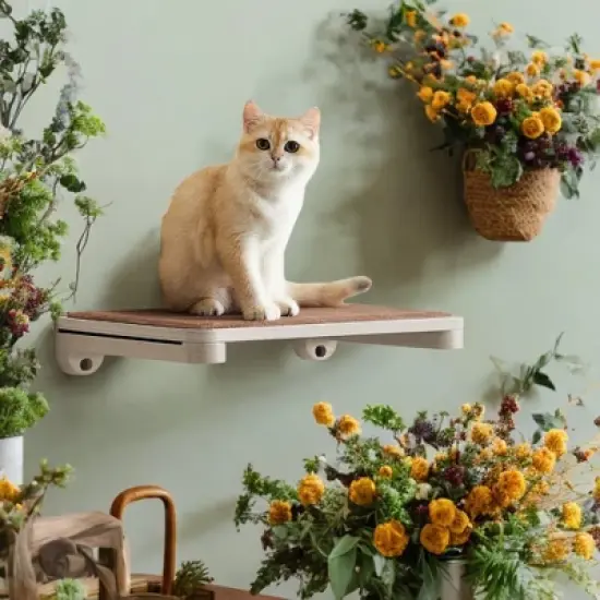 Feandrea Clickat Collection - No.007 Cat Shelf, Wall-Mounted Cat Perch for Indoor Cats, Cat Wall Shelves image {7}