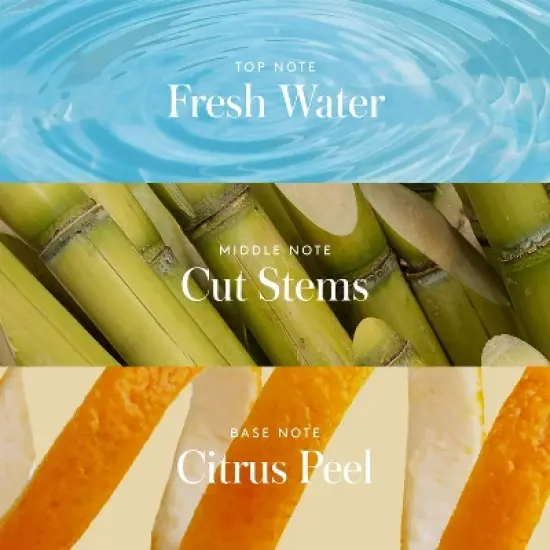 Athena Club All Over Solid Deodorant Sea Splash - 3oz image {4}