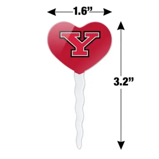 Youngstown State Primary Logo Heart Love Cupcake Picks Toppers Decoration Set of 6 image {5}
