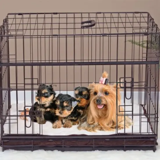 Lucky Dog Dwell Series 48 Inch Extra Large Lightweight Kennel Secure Fenced Pet Dog Crate w/Divider Panels, Sliding Doors, and Removable Tray, Black image {4}