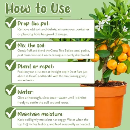 Soil Sunrise Citrus Tree Potting Soil Mix, for Indoor Oranges, Lemons, Limes and More image {6}
