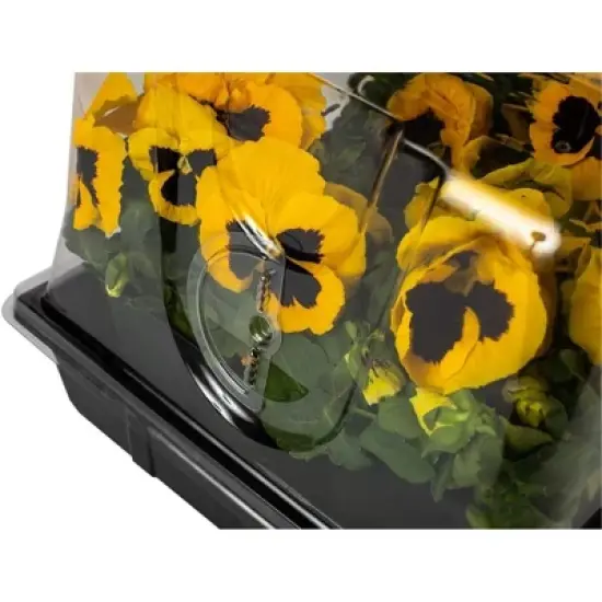 SUNPACK Sundome Plastic Multi-Vented Humidity Dome, Clear, 7in image {2}