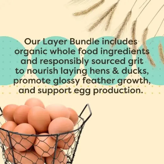 Scratch and Peck Feeds Cluckin Good Organic 3 Grain Scratch Chickens and Ducks Feed - 10 lbs image {2}