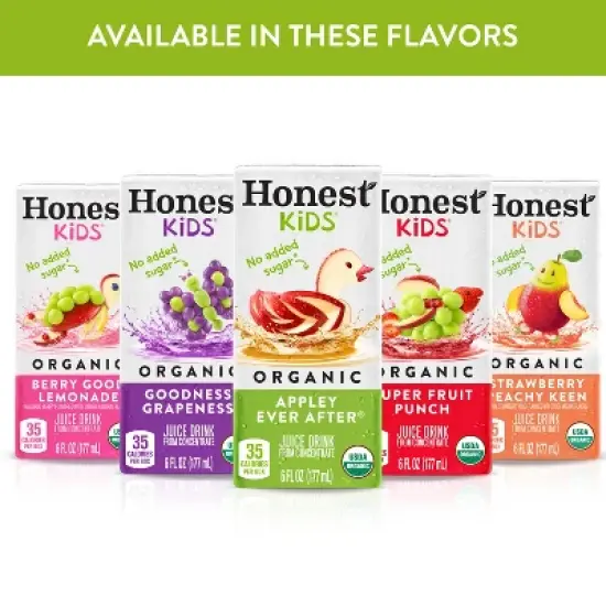 Honest Kids Organic Apple Juice Drink - 8pk/6 fl oz Box image {7}