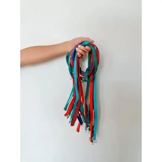 Midlee 4 Foot Dog Kennel Slip Lead Heavy Duty Nylon Pack of 10 image {2}