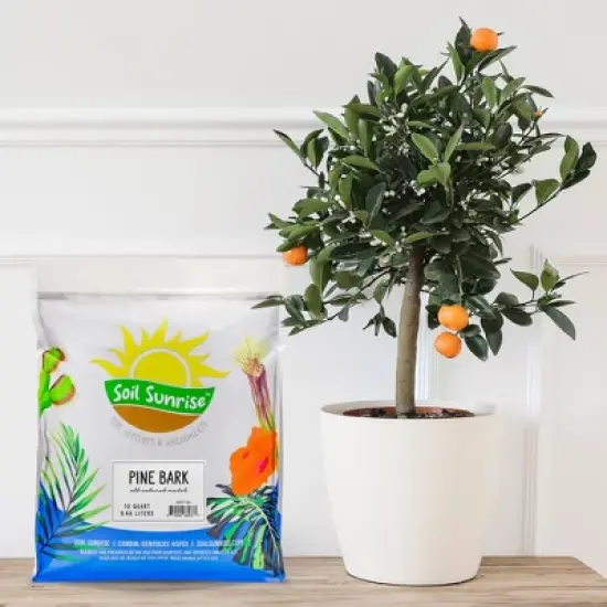 Soil Sunrise 100% Natural Pine Bark Mulch, for Container Gardening, Soil Supplement, Houseplants, Terrariums image {1}