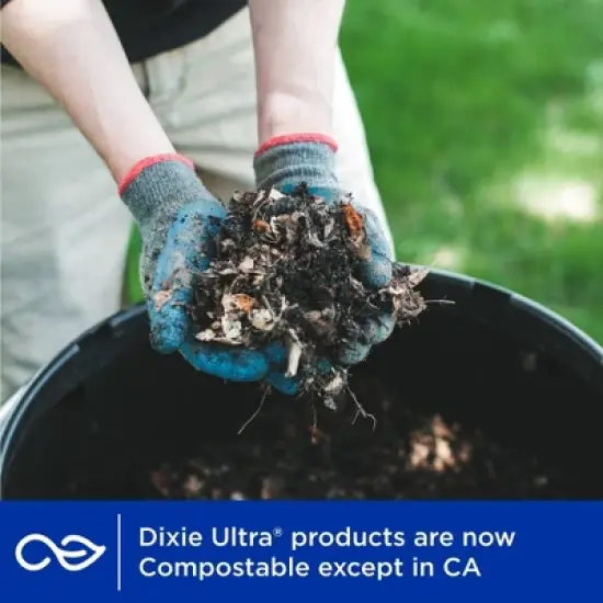 Dixie Ultra Dinner Paper Bowls - 28ct/20oz image {3}