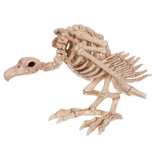 Seasons USA Vulture Skeleton Halloween Decoration - 10 in x 17 in x 5 in - Beige image {1}
