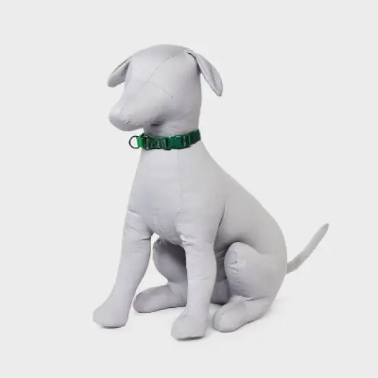 Martingale with Buckle Adjustable Dog Collar - Boots & Barkley&trade; Assorted Greens image {2}