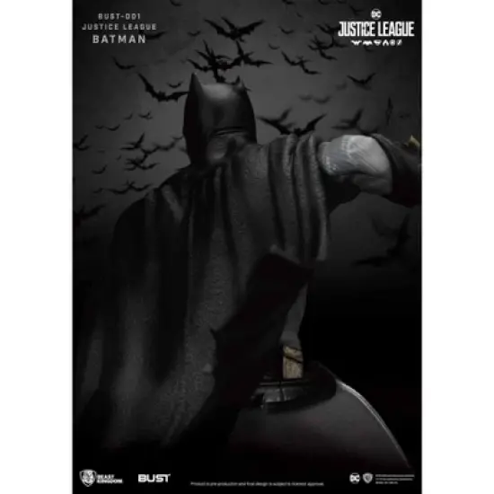 Warner Bros Justice League Series-Batman (Bust) image {4}