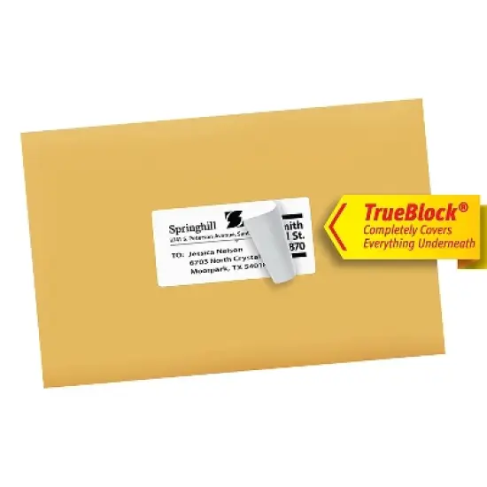 Avery Shipping Labels with TrueBlock Technology Laser 2 x 4 White 250/Pack 5263 image {7}