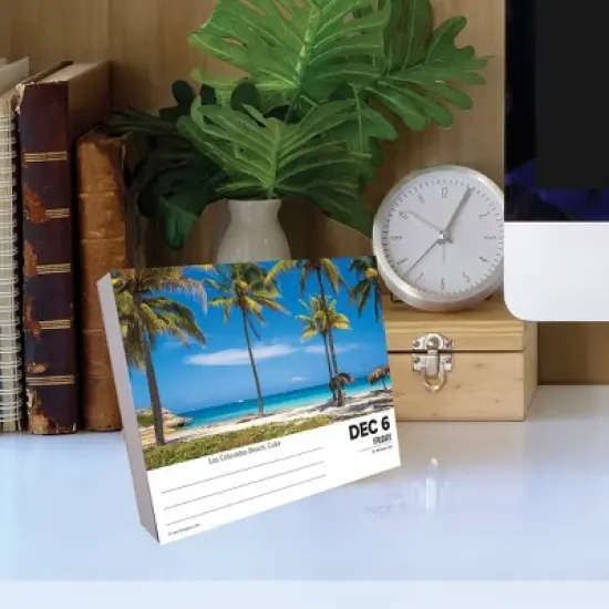 Willow Creek Press 2024 Daily Desk Calendar 5.2"x6.2" Ah The Beach image {3}