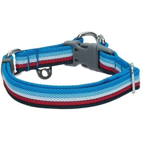Blueberry Pet Stripe Adjustable Dog Collar image {1}