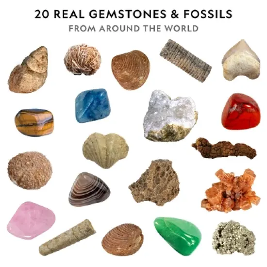 NATIONAL GEOGRAPHIC Mega Fossil & Gemstone Dig Kit, Excavate 10 Real Fossils & 10 Real Gems, STEM Science Gift for Mineralogy and Geology Enthusiasts image {2}