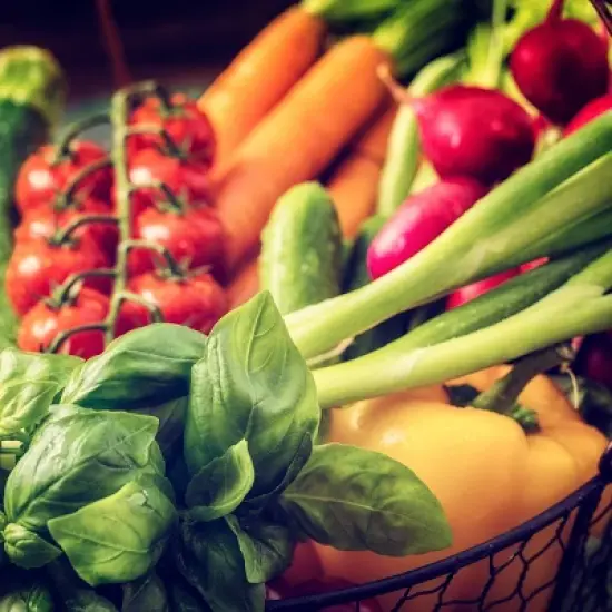 Back to the Roots 20pk Organic USA Herbs and Vegetable Seeds image {5}