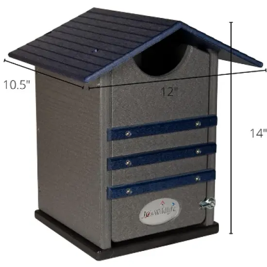 Ultimate Poly Screech Owl or Saw-Whet Owl House Nesting Box image {6}