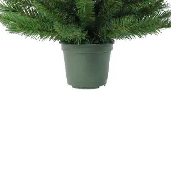 Northlight 3' Unlit Potted Artificial Christmas Tree Medium Norway Spruce image {3}