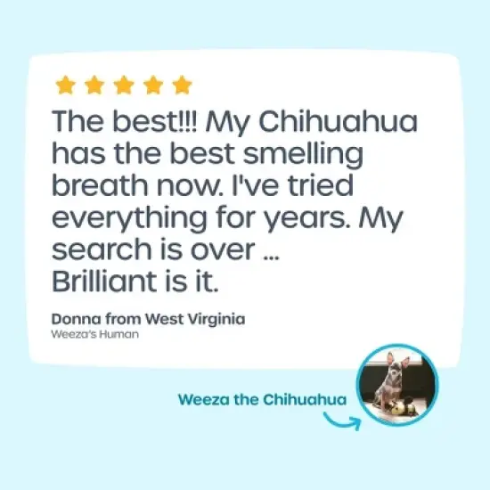 PetFriendly Brilliant!&trade; Dental Stick for Dogs image {1}