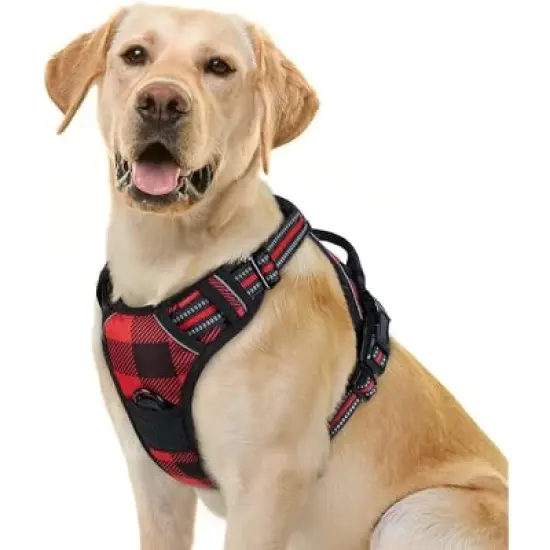 rabbitgoo Dog Harness No Pull with 2 image {5}