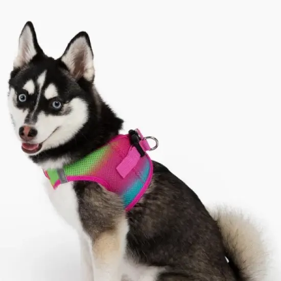 Doggie Design American River Choke Free Dog Harness Ombre Collection-Cotton Candy image {3}