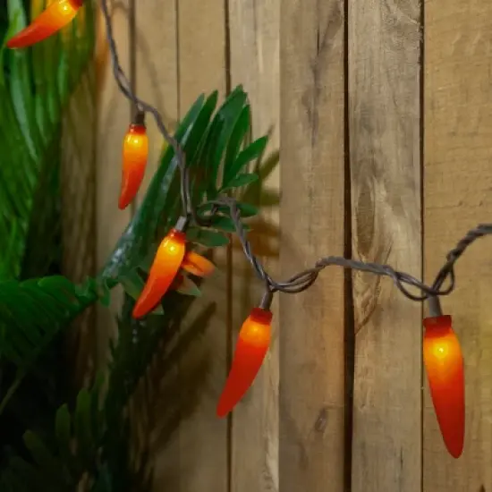 Northlight 35-Count Orange Chili Pepper Patio String Light Set, 22.5ft Brown Wire image {1}