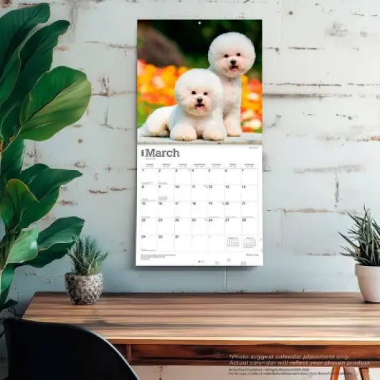 BrownTrout Bichon Frise 2026 12"x24" Hanging Square Wall Calendar Plastic-Free image {4}