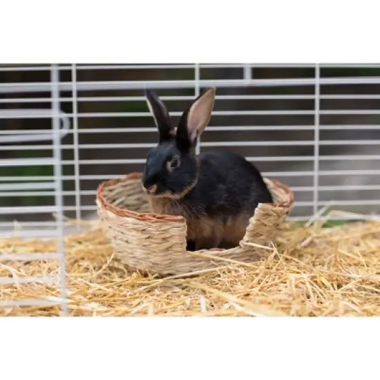 Prevue Pet Products Large Oval Pet Nest 1072. image {1}