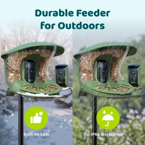Smart Bird Feeder with Camera, Dual-Angle Views,AI Identifies 6000+ Birds,Solar-Powered, Motion Detection image {6}