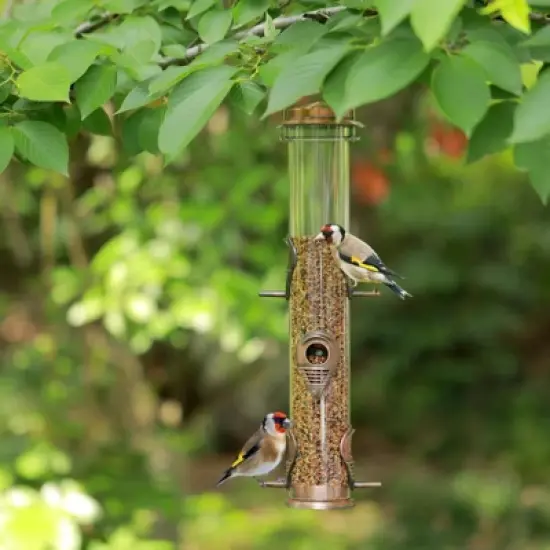 Snynuxx Metal Bird Feeder Tube Hanging, Steel Hanger Great for Attracting Birds (Antique Copper) image {7}
