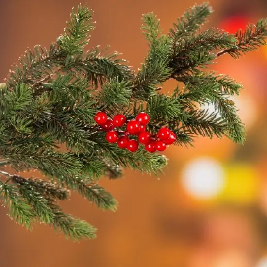 Evergreen Flag Wood House Flag Pole with Ring image {6}