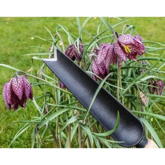 DeWit Snake Tongue Trowel &ndash; Versatile Heirloom Tool for Transplanting & Weeding image {2}