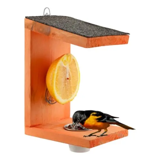 Uncle Dunkels Oriole Bird Feeder; 2-Way Feeder for Jelly and Oranges, Handmade in Kentucky image {8}
