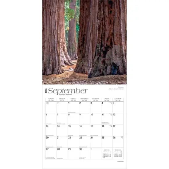 BrownTrout Yosemite 2026 12"x24" Hanging Square Wall Calendar Plastic-Free image {3}