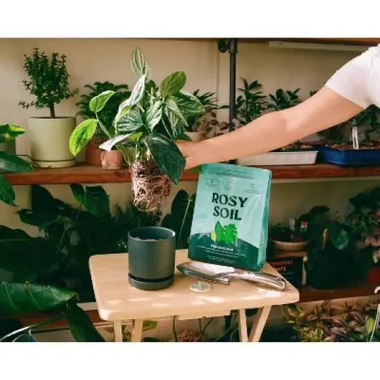 Rosy Soil Potting Soil image {10}