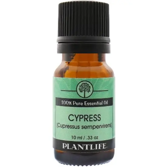 Plantlife Cypress Aromatherapy Essential Oil - Straight from The Plant 100% Pure Therapeutic Grade - No Additives or Filters - 10 ml image {2}