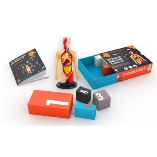 The Purple Cow The Human Body Advent Calendar: Educational Paper & Cardboard Winter Display image {2}