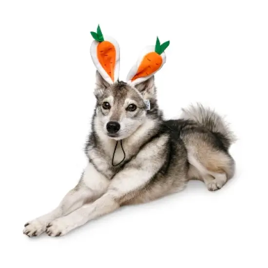 Midlee Carrot Bunny Ears Easter Dog Headband Costume image {3}