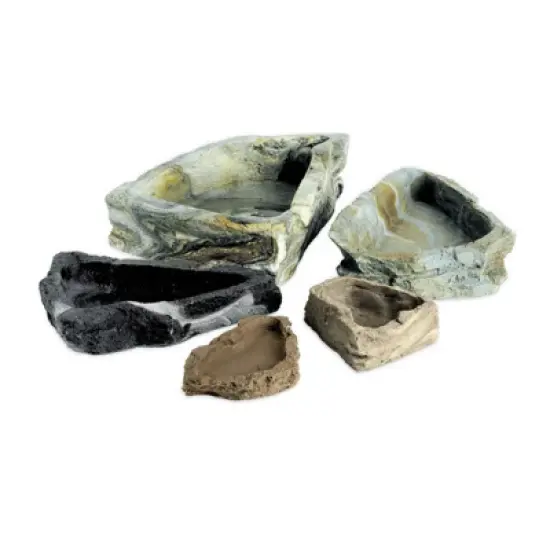 Flukers Repta-Bowl- Medium- 6" image {3}