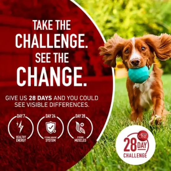 Purina ONE SmartBlend Small Breed Natural Lamb Flavor Dry Dog Food image {10}