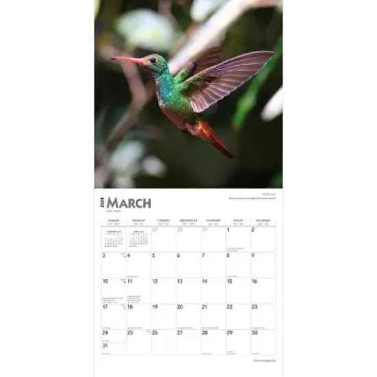 Browntrout 2024 Wall Calendar 12"x12" Hummingbirds Foiled image {2}