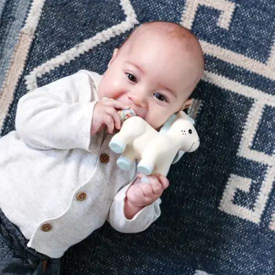 Infantino Go Gaga! Squeeze & Teethe Terry Tail image {2}