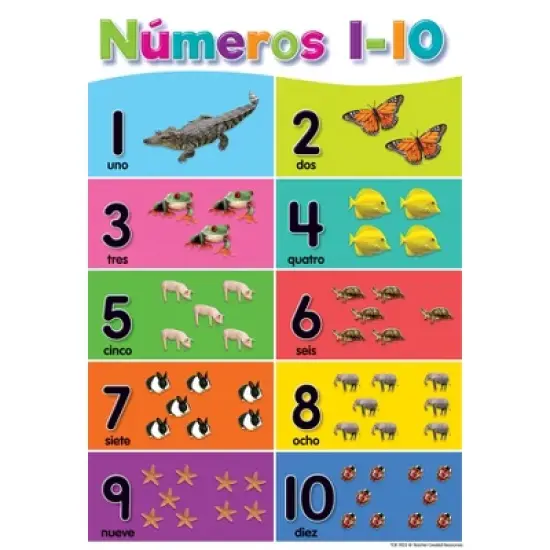Teacher Created Resources&reg; Spanish Colorful Early Learning Small Poster Pack, 11" x 15-3/4", Pack of 12 image {5}