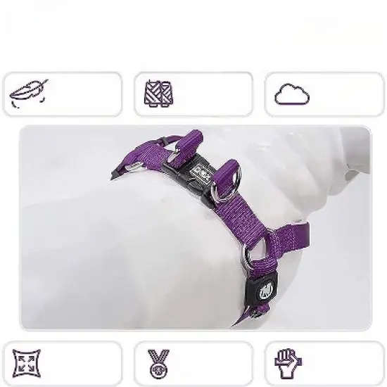 DDOXX Adjustable Nylon Step-in Dog Harness, Small, Purple image {1}