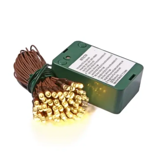 Vickerman LED Wide Angle Battery Operated Christmas Light set image {3}