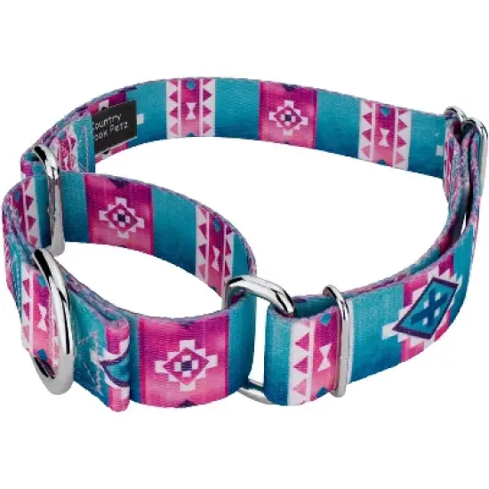 Country Brook Petz Albuquerque Martingale Dog Collar and Leash image {9}